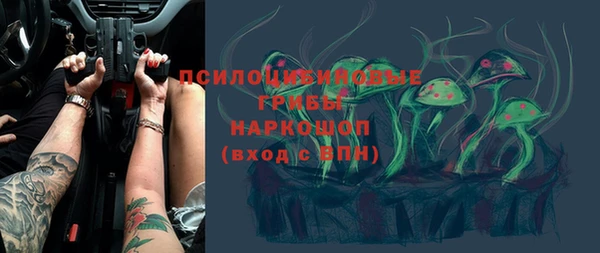 соль курить ск Белокуриха