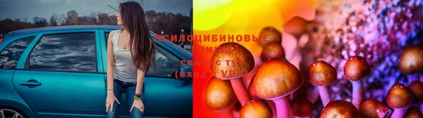 соль курить ск Белокуриха