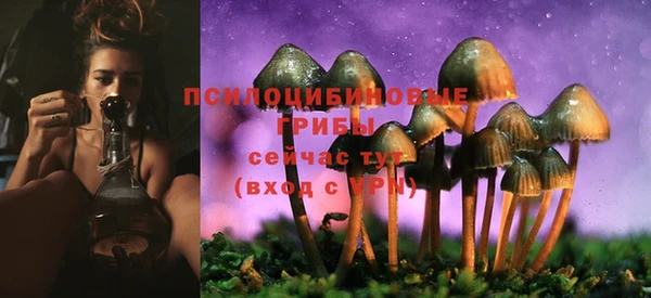 дурь Белоозёрский